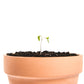 Clay Plant Pot