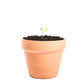 Clay Plant Pot